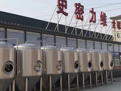 金凤精酿啤酒设备厂—市场规模与跨界新需求